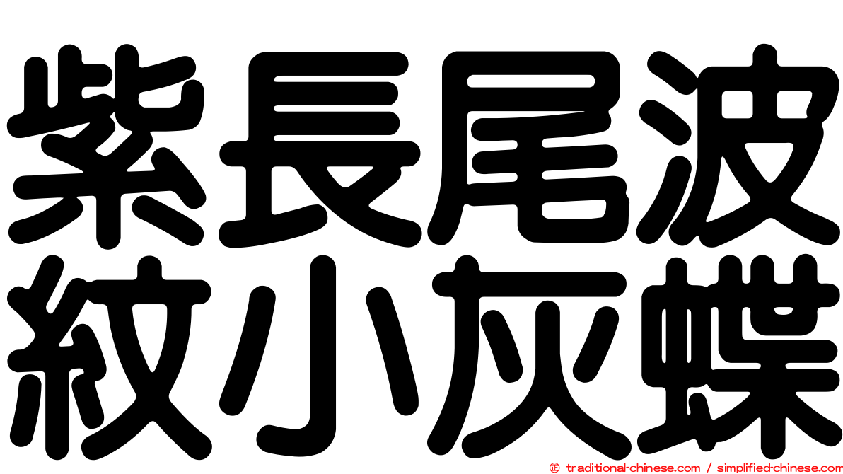 紫長尾波紋小灰蝶