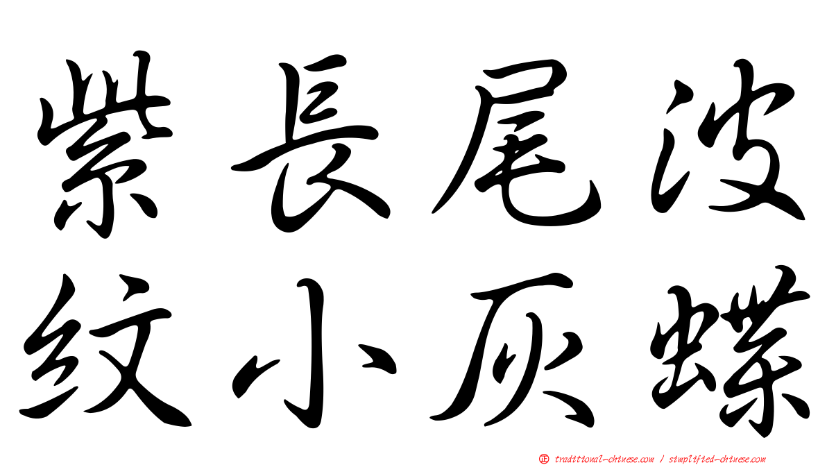 紫長尾波紋小灰蝶