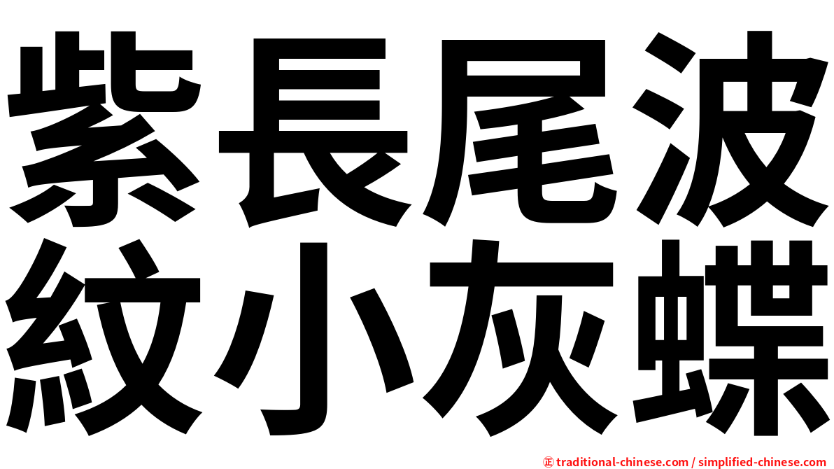 紫長尾波紋小灰蝶