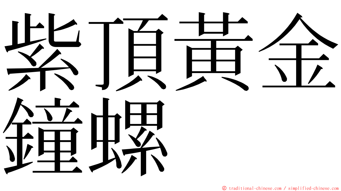 紫頂黃金鐘螺 ming font