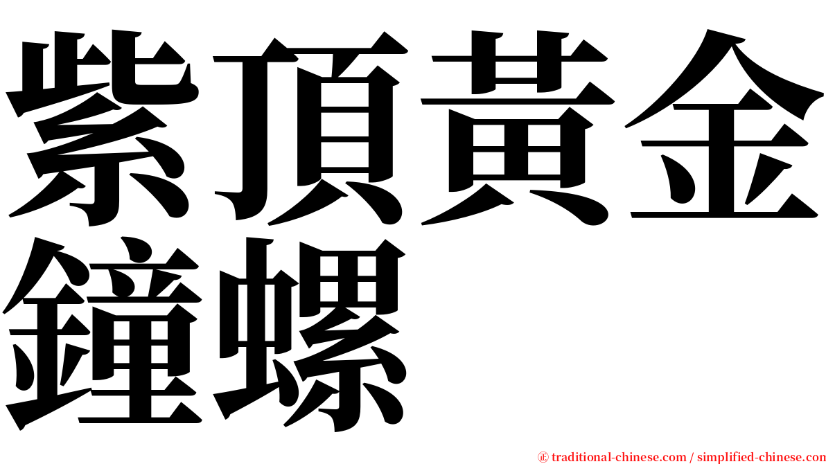 紫頂黃金鐘螺 serif font