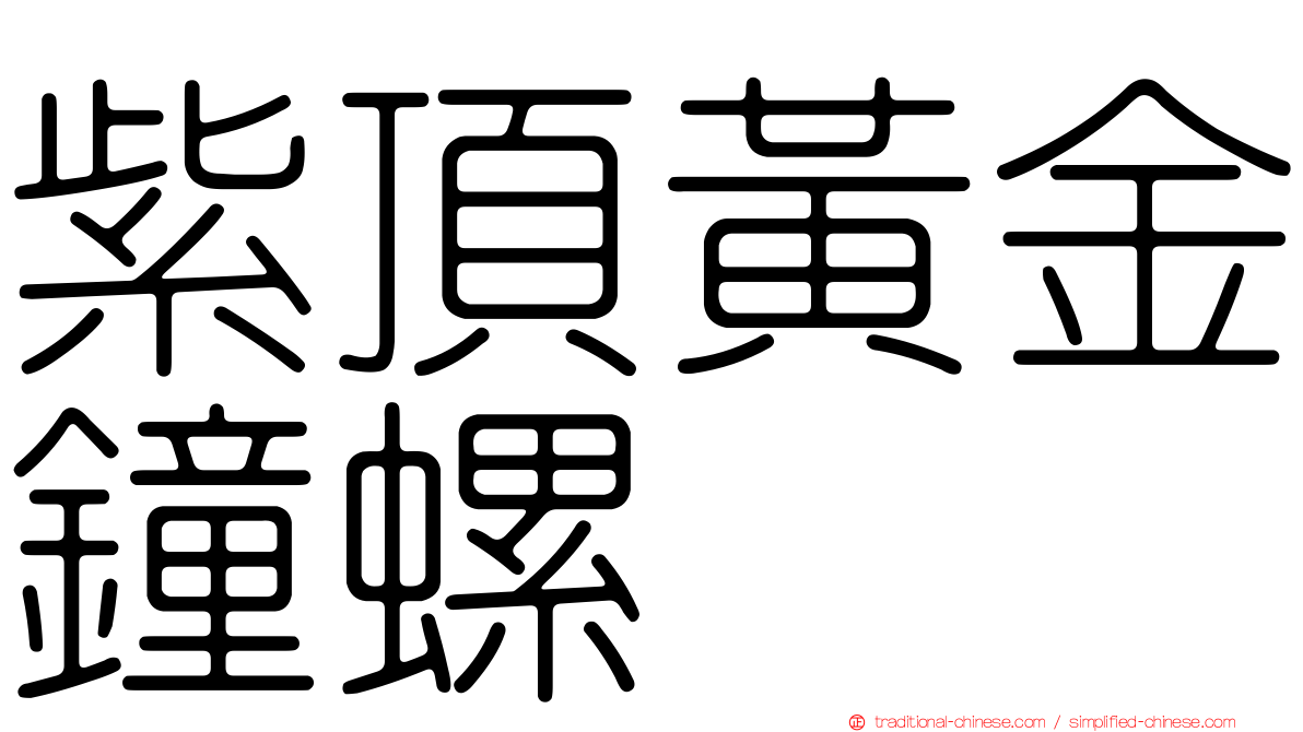 紫頂黃金鐘螺