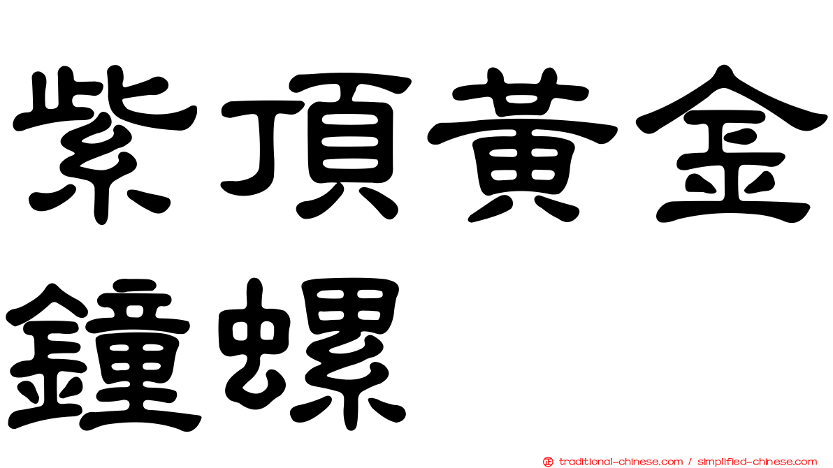 紫頂黃金鐘螺