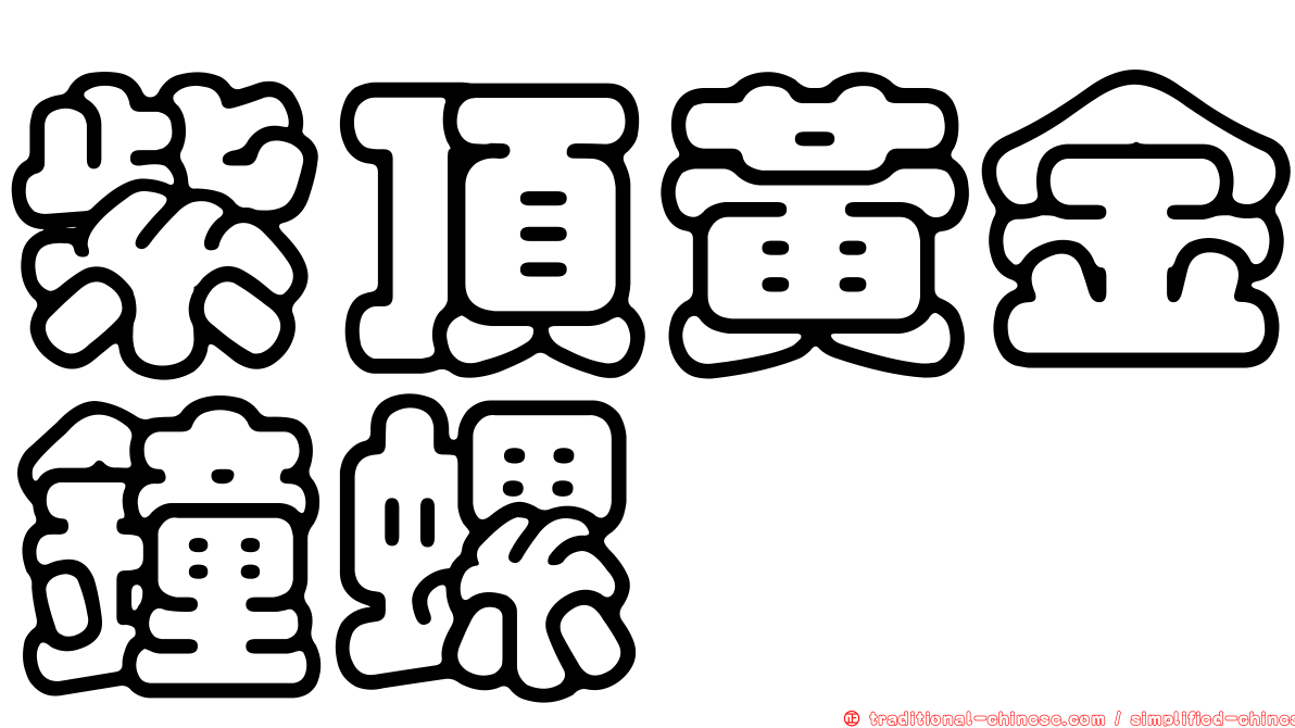 紫頂黃金鐘螺