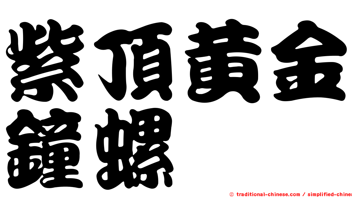 紫頂黃金鐘螺