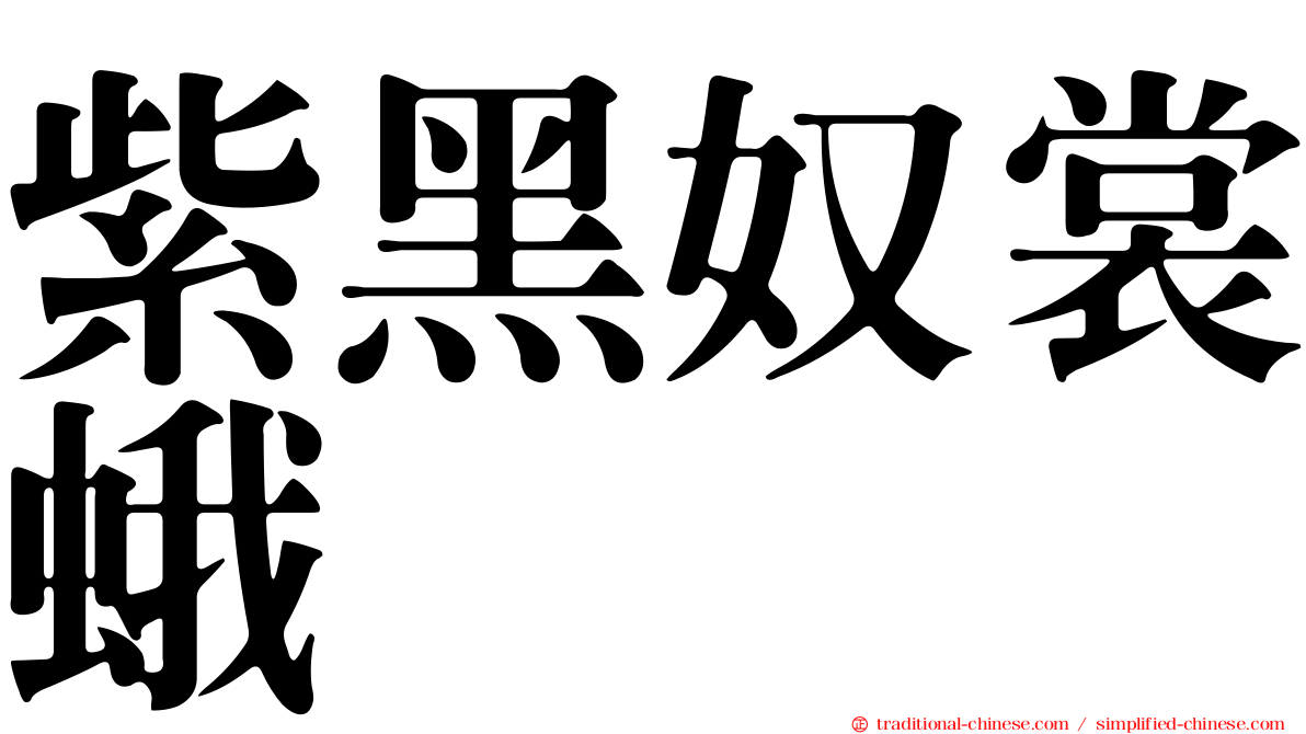 紫黑奴裳蛾