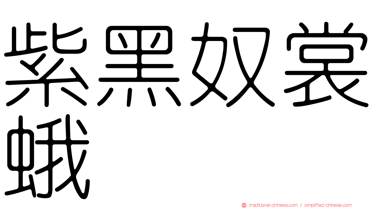 紫黑奴裳蛾