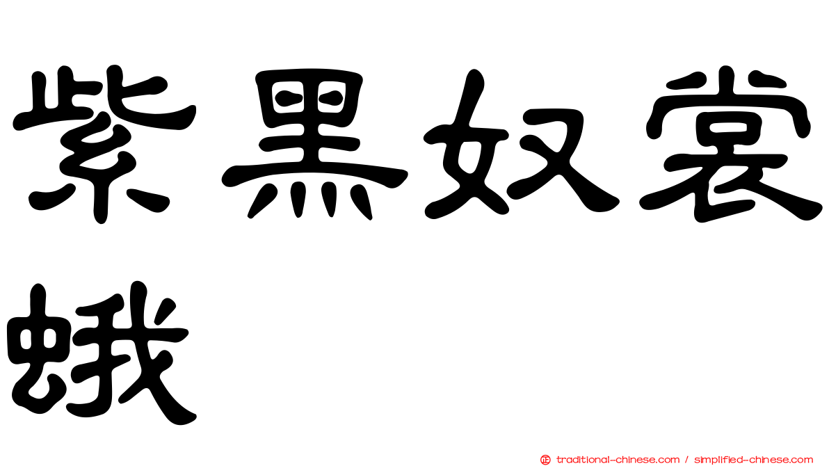 紫黑奴裳蛾