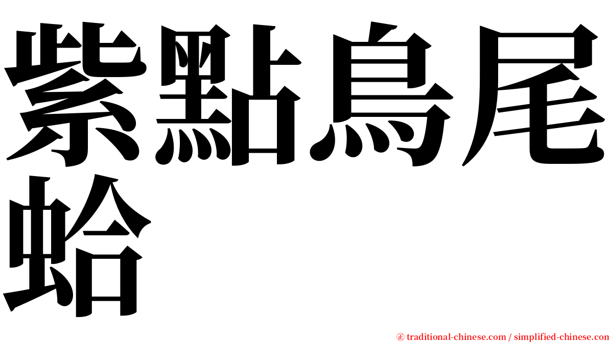 紫點鳥尾蛤 serif font