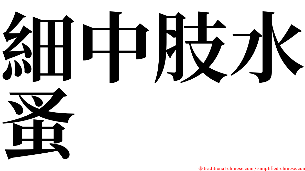 細中肢水蚤 serif font