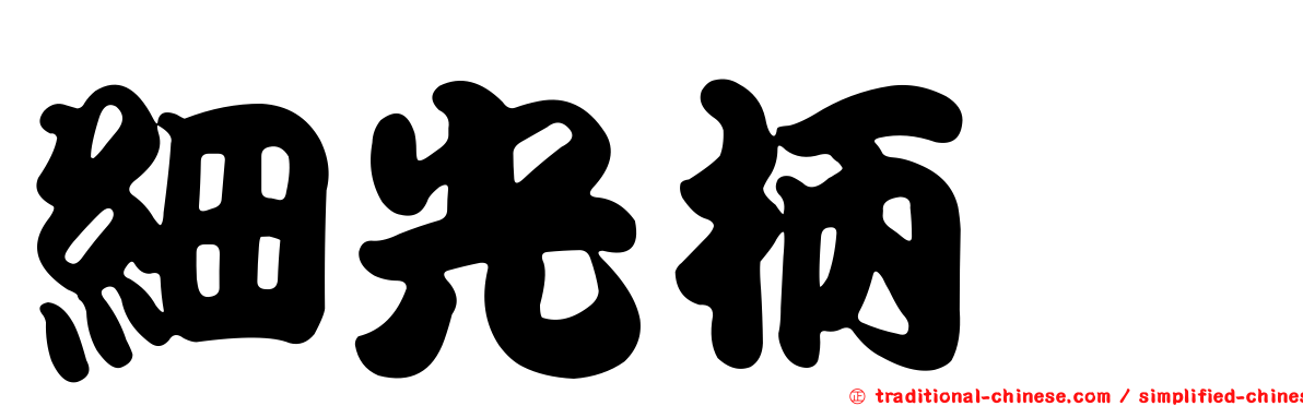 細光柄菇
