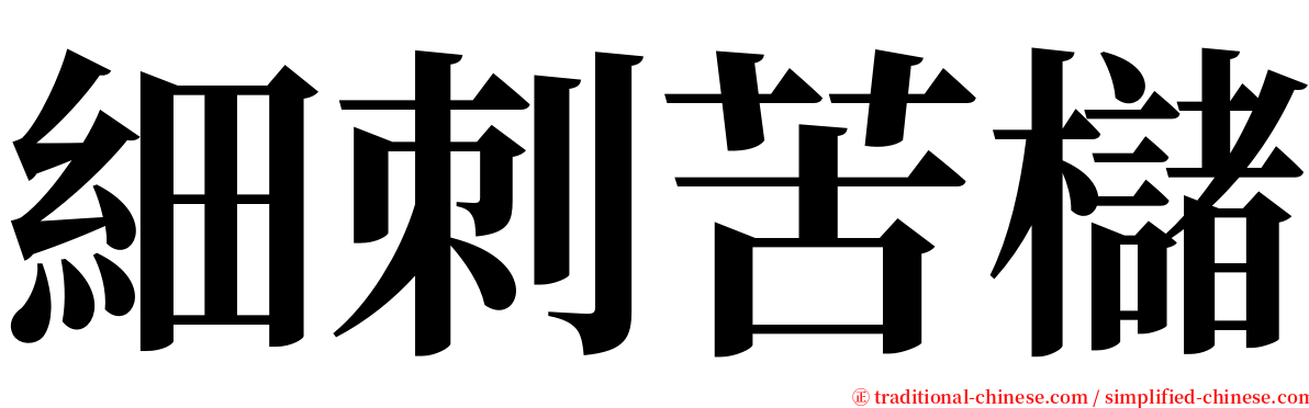 細刺苦櫧 serif font