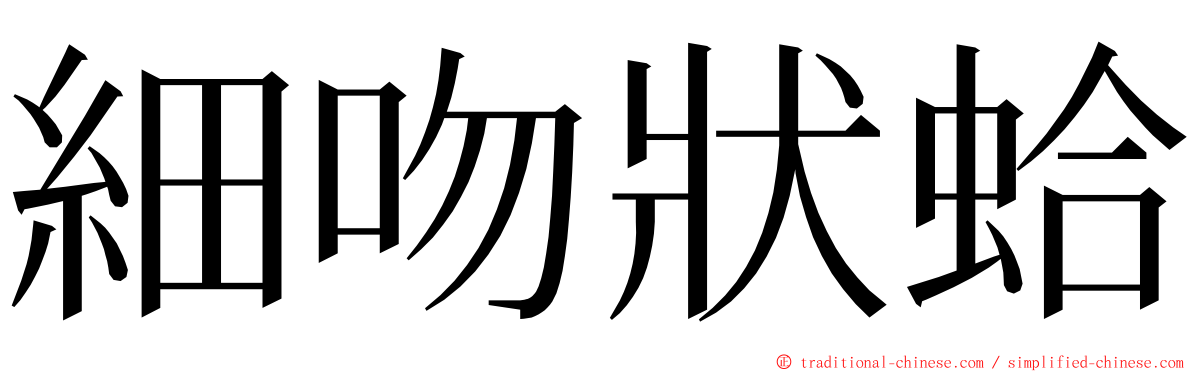 細吻狀蛤 ming font