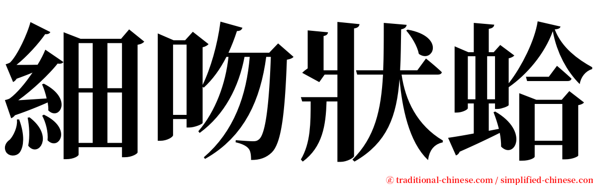 細吻狀蛤 serif font