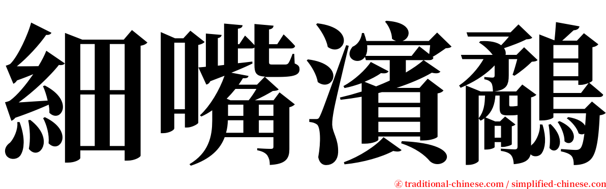 細嘴濱鷸 serif font