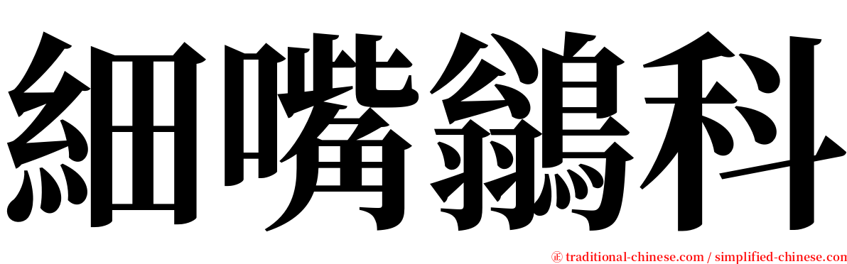 細嘴鶲科 serif font