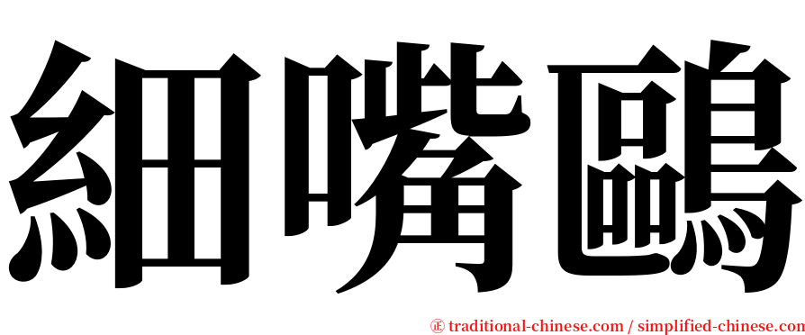 細嘴鷗 serif font