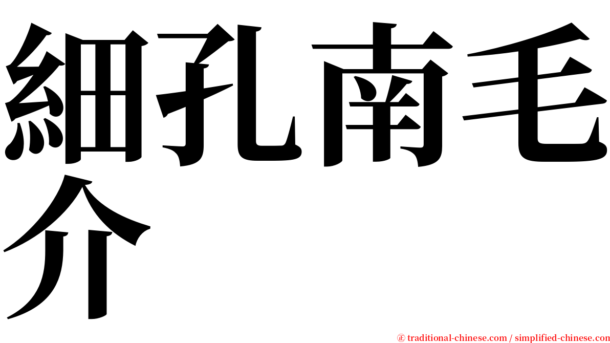 細孔南毛介 serif font