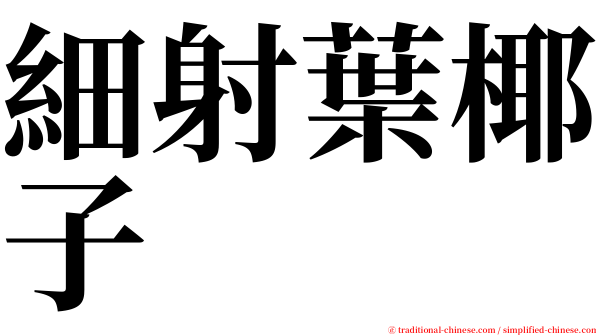 細射葉椰子 serif font