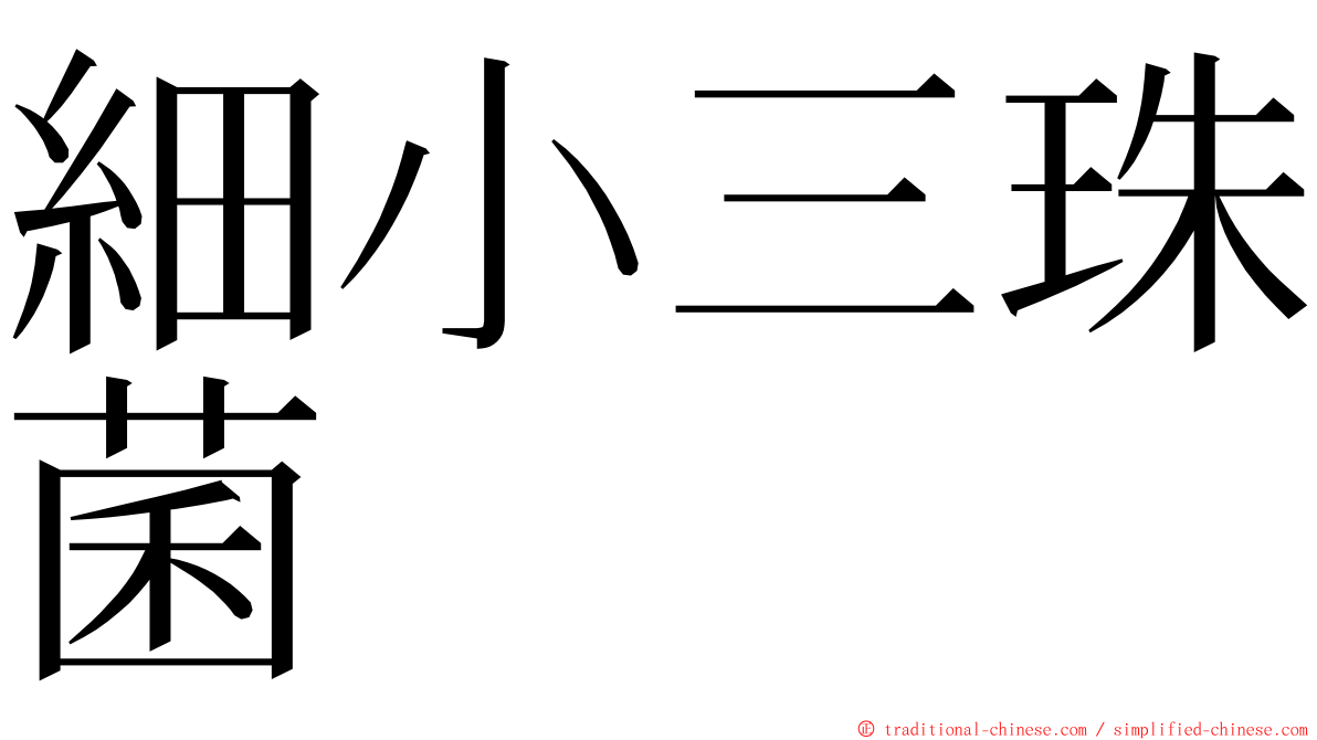 細小三珠菌 ming font