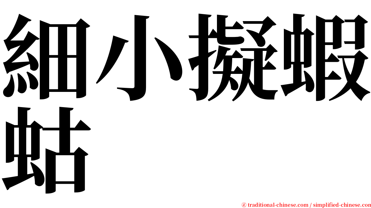 細小擬蝦蛄 serif font