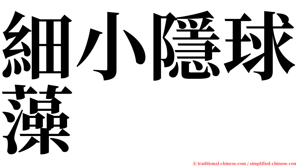 細小隱球藻 serif font