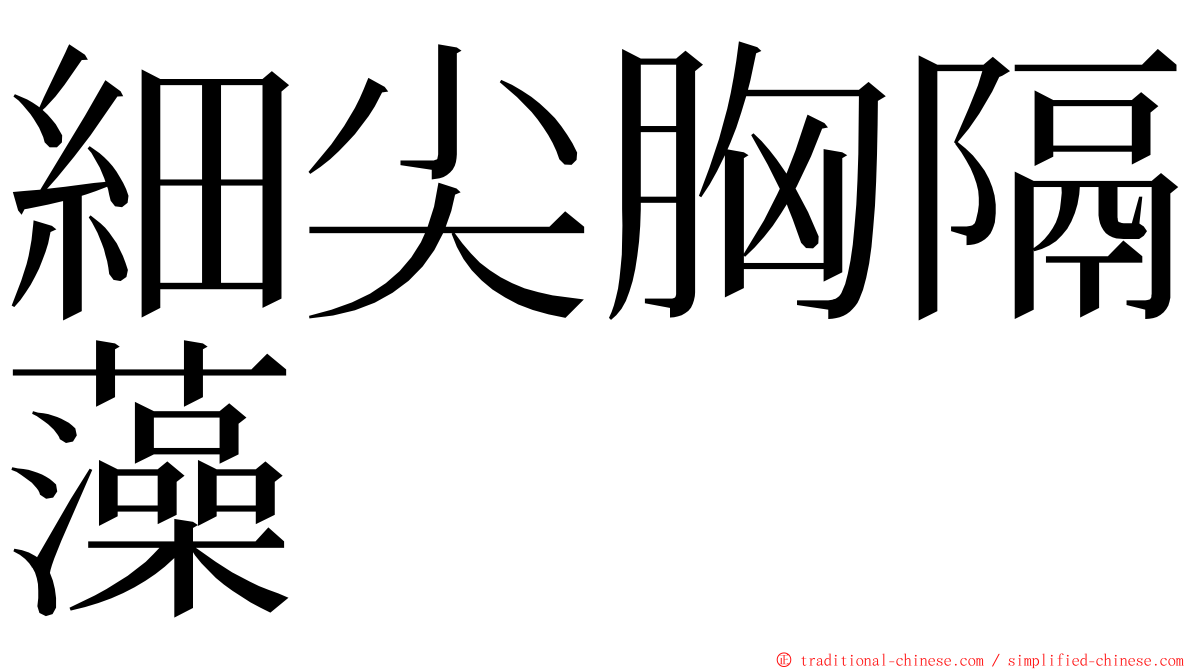 細尖胸隔藻 ming font