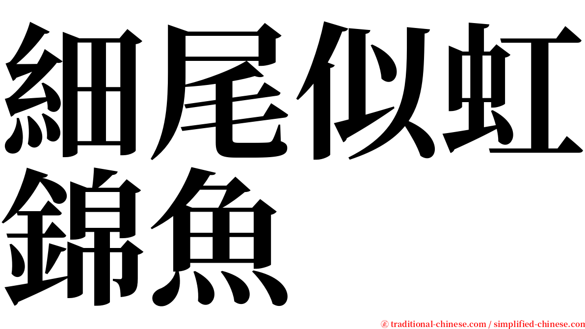 細尾似虹錦魚 serif font