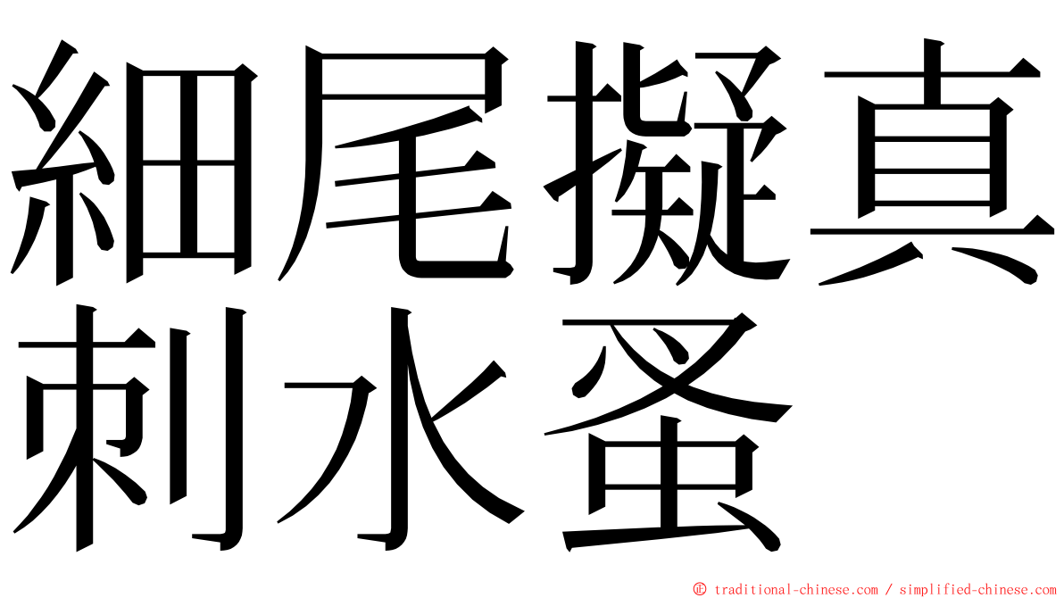 細尾擬真刺水蚤 ming font