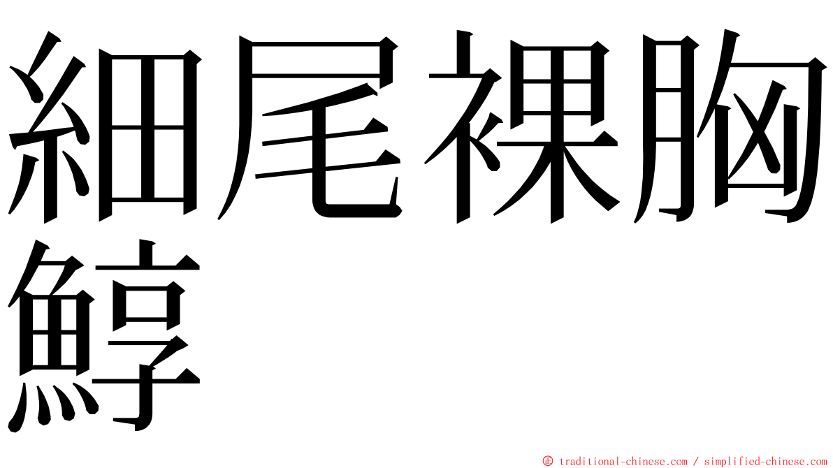 細尾裸胸鯙 ming font