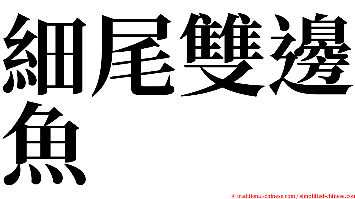 細尾雙邊魚 serif font