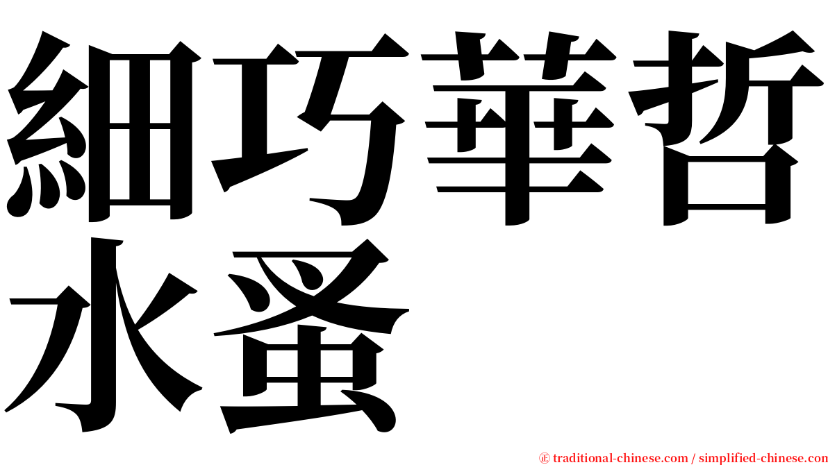 細巧華哲水蚤 serif font