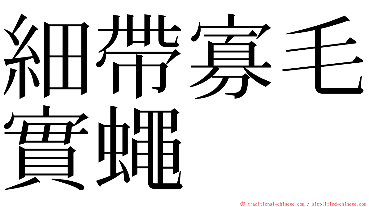 細帶寡毛實蠅 ming font