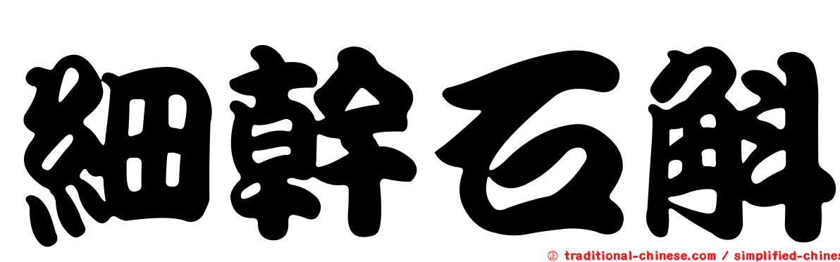 細幹石斛