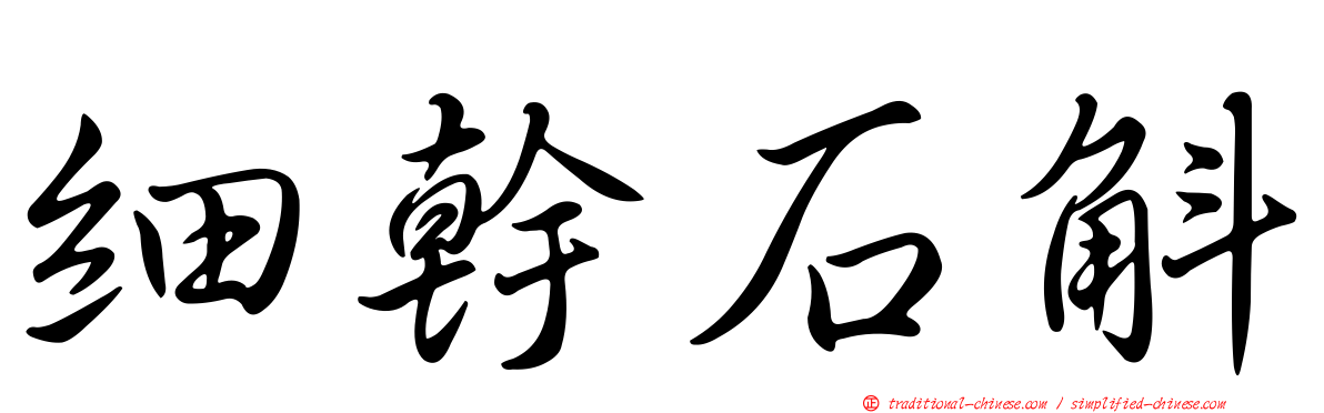 細幹石斛