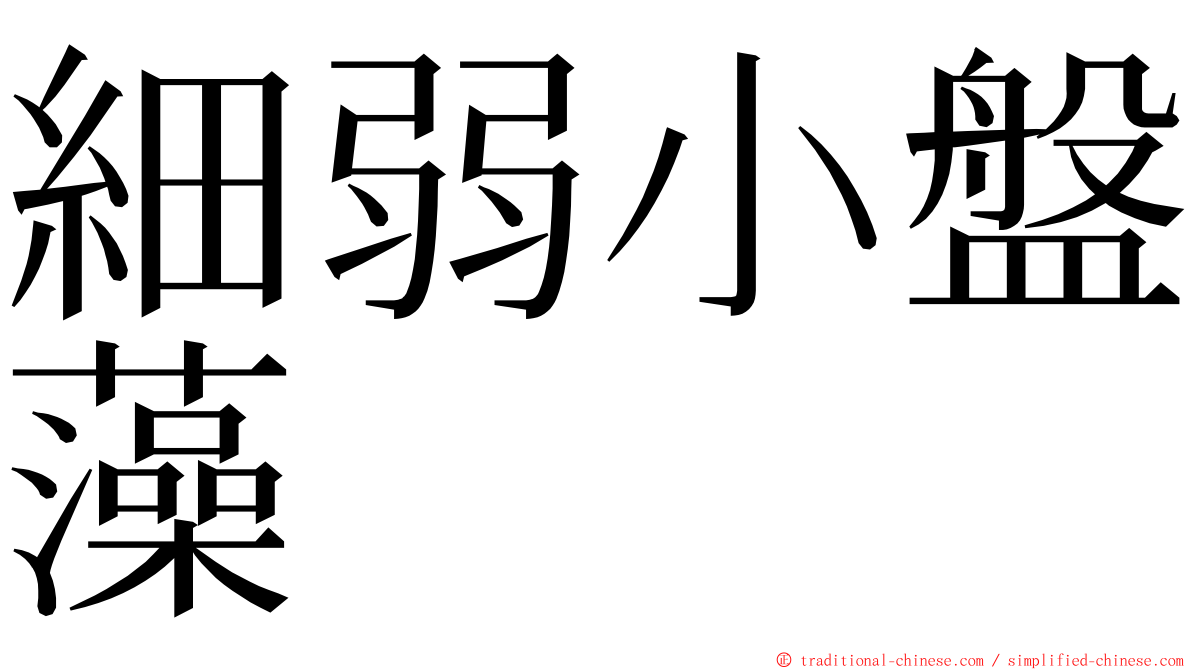 細弱小盤藻 ming font