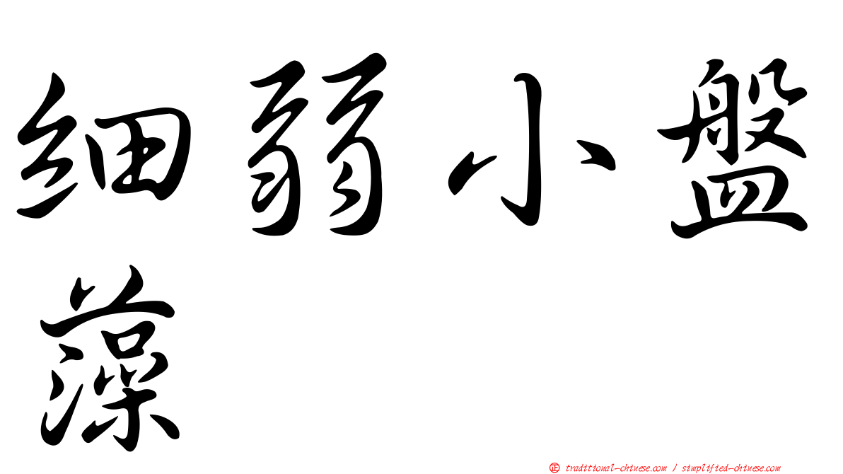 細弱小盤藻