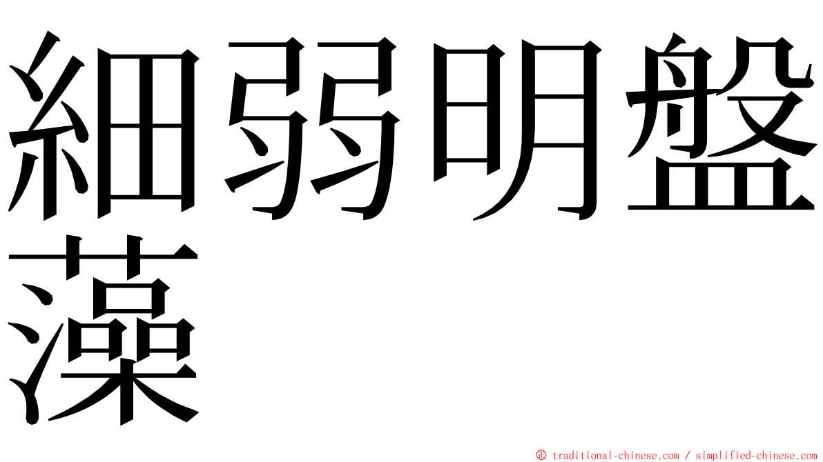 細弱明盤藻 ming font