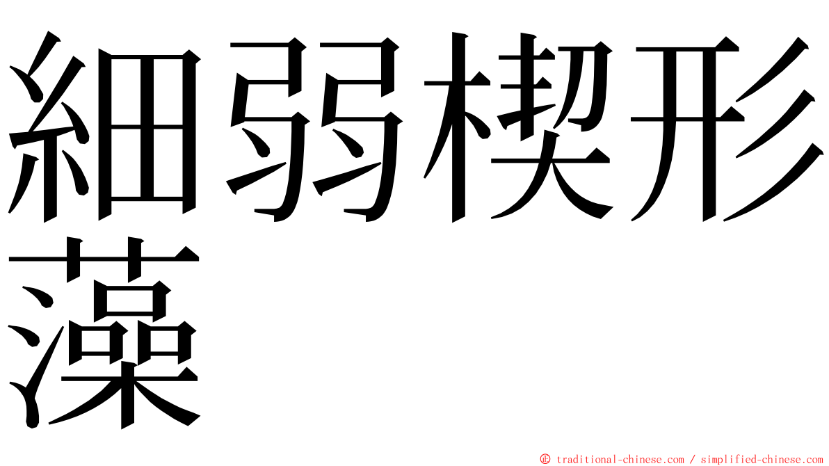 細弱楔形藻 ming font