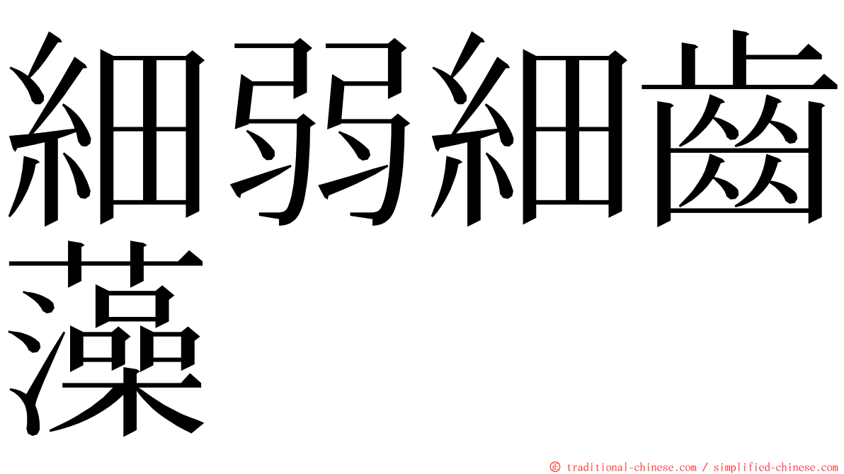 細弱細齒藻 ming font