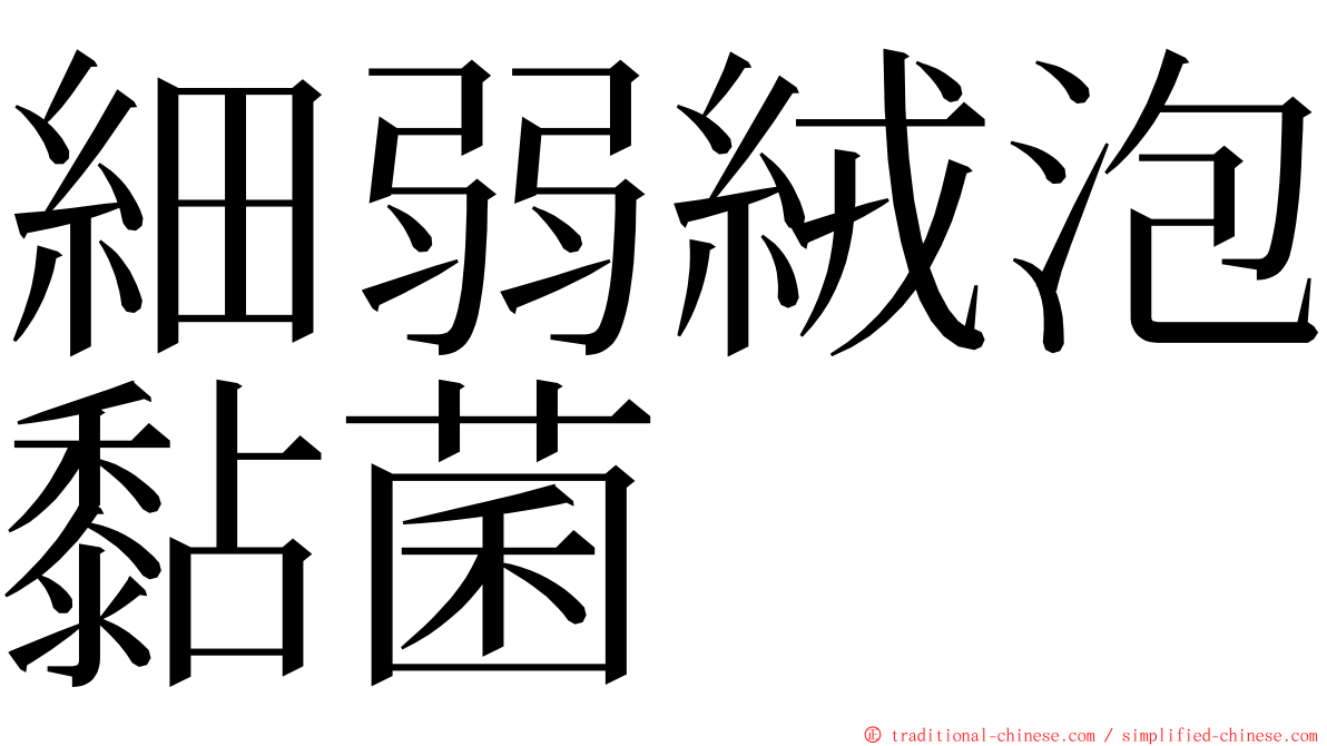 細弱絨泡黏菌 ming font