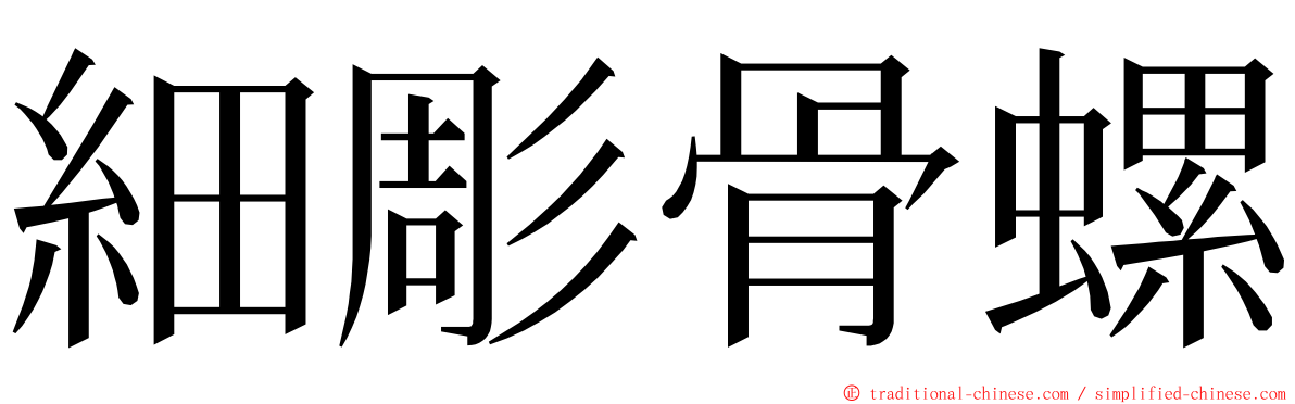 細彫骨螺 ming font