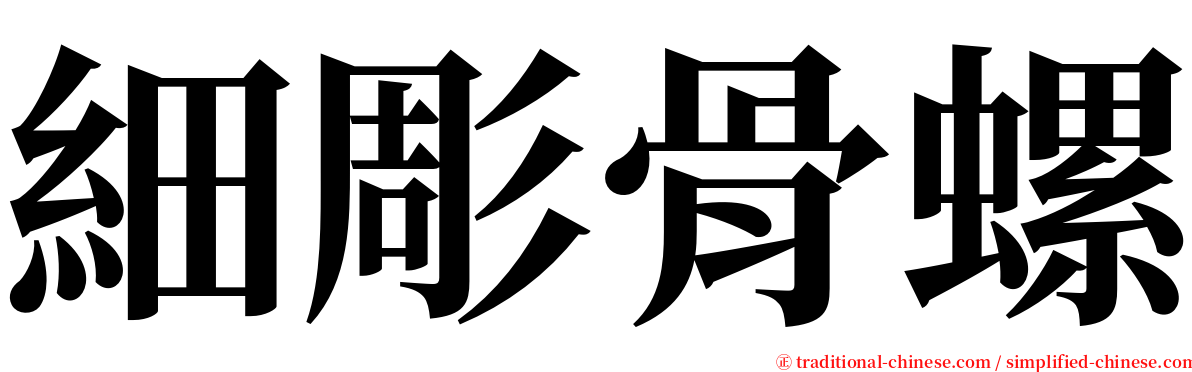 細彫骨螺 serif font