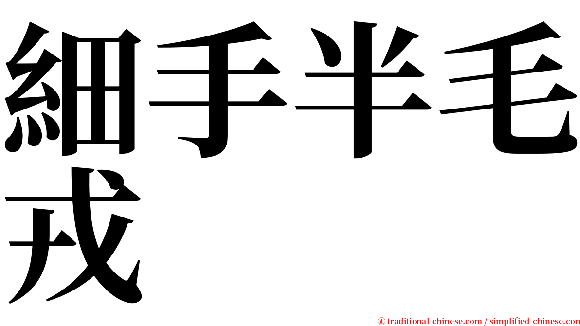 細手半毛戎 serif font