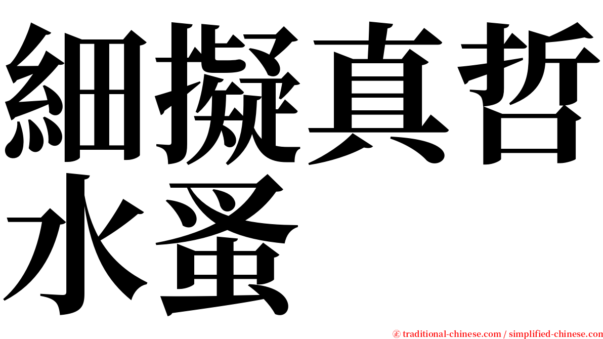 細擬真哲水蚤 serif font