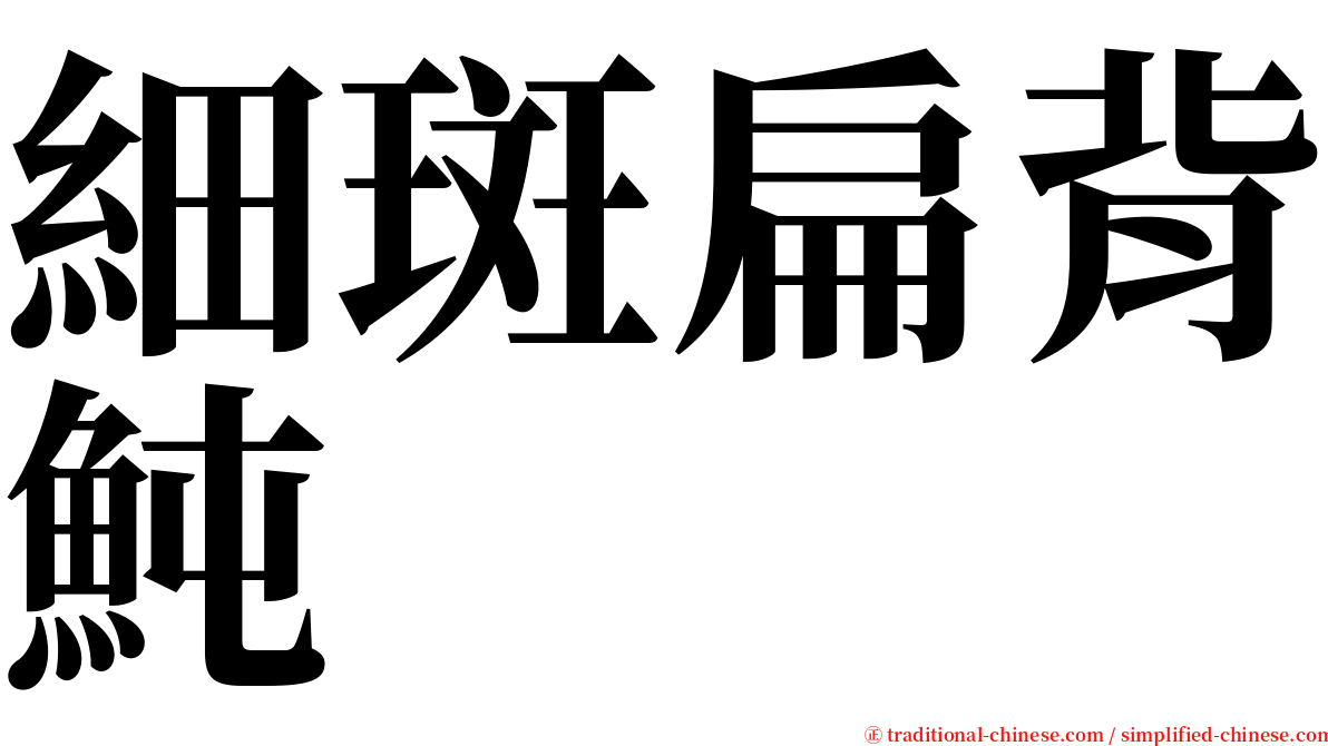 細斑扁背魨 serif font