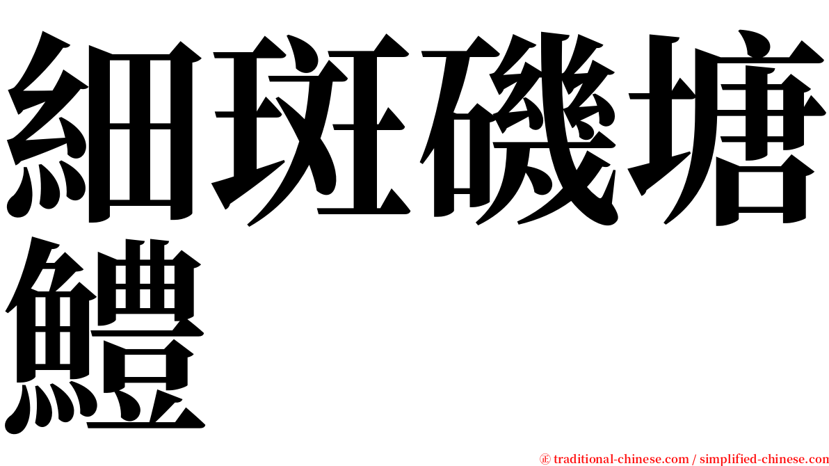 細斑磯塘鱧 serif font