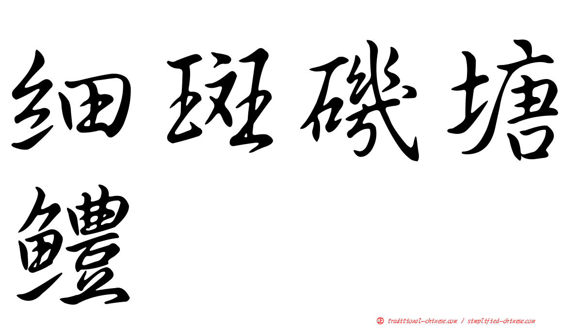 細斑磯塘鱧