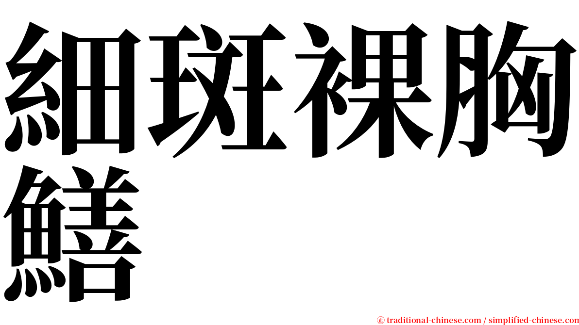 細斑裸胸鱔 serif font