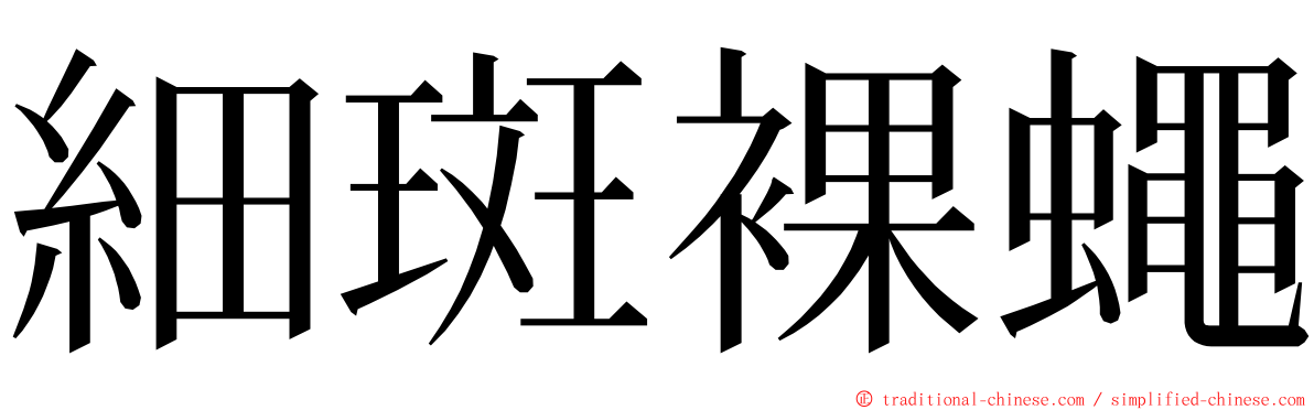 細斑裸蠅 ming font